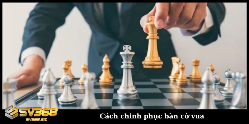 Cách xếp cờ vua cực đơn giản cho người mới tham gia online 1 cach chinh phuc ban co vua