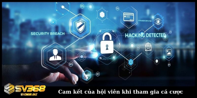 Điều khoản và điều kiện SV368 - Cam kết của mọi hội viên 2 Cam kết của hội viên khi tham gia cá cược